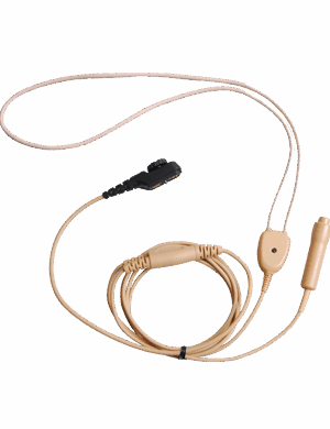 EWN10