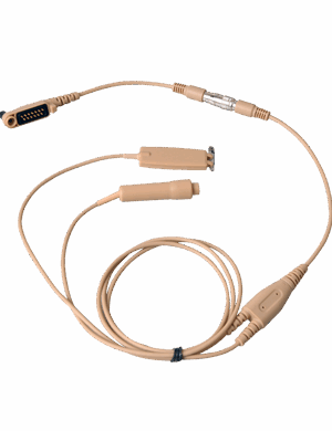 EWN11